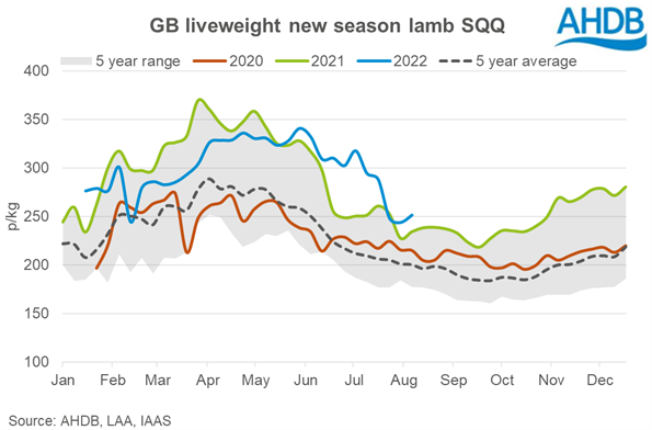 Graph showing the GB liveweight NSL SQQ to 11 Aug